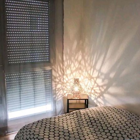 Bel Appartement Proche Du Canal Du Midi 圖盧茲 外观 照片