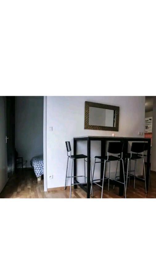 Bel Appartement Proche Du Canal Du Midi 圖盧茲 外观 照片
