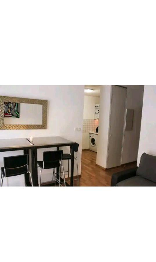 Bel Appartement Proche Du Canal Du Midi 圖盧茲 外观 照片