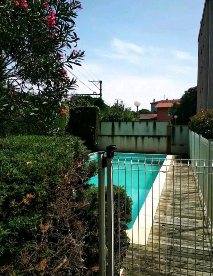 Bel Appartement Proche Du Canal Du Midi 圖盧茲 外观 照片
