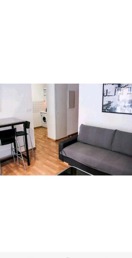 Bel Appartement Proche Du Canal Du Midi 圖盧茲 外观 照片
