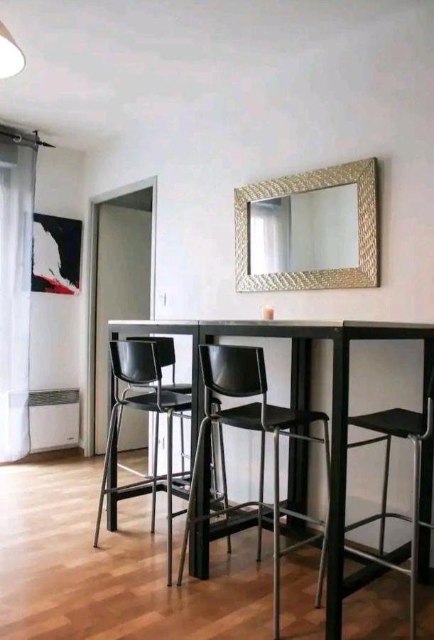 Bel Appartement Proche Du Canal Du Midi 圖盧茲 外观 照片