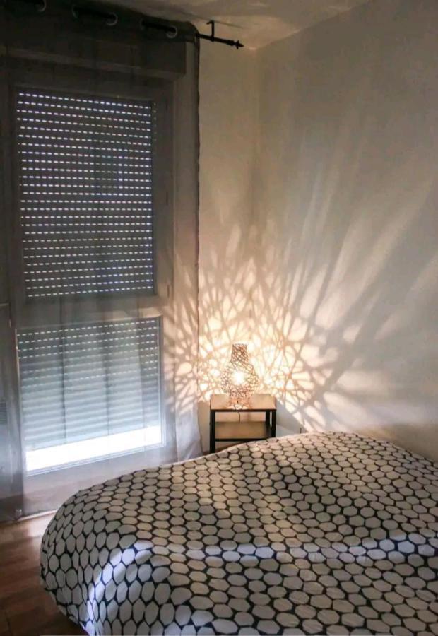 Bel Appartement Proche Du Canal Du Midi 圖盧茲 外观 照片